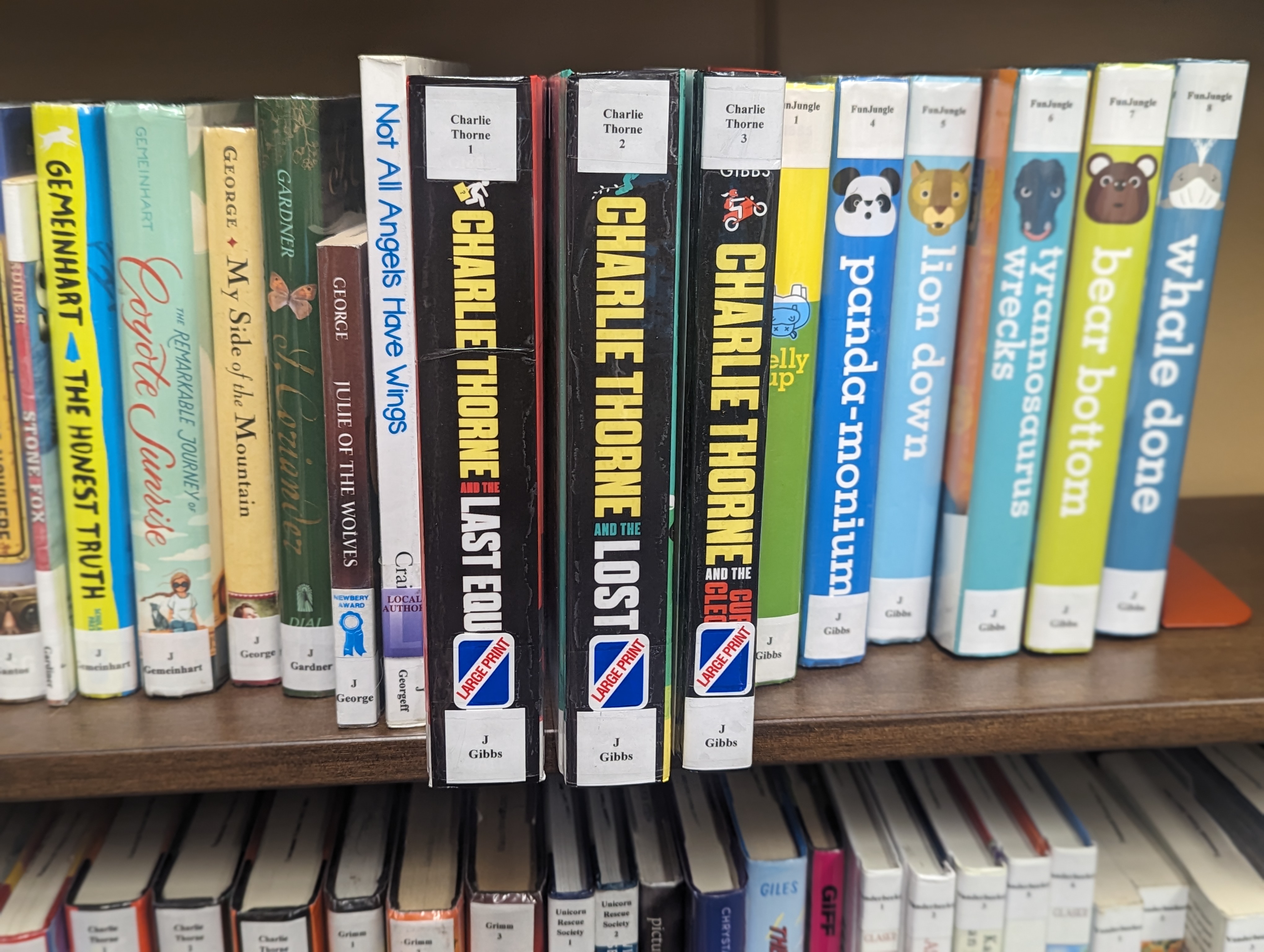 Youth Large Print Books